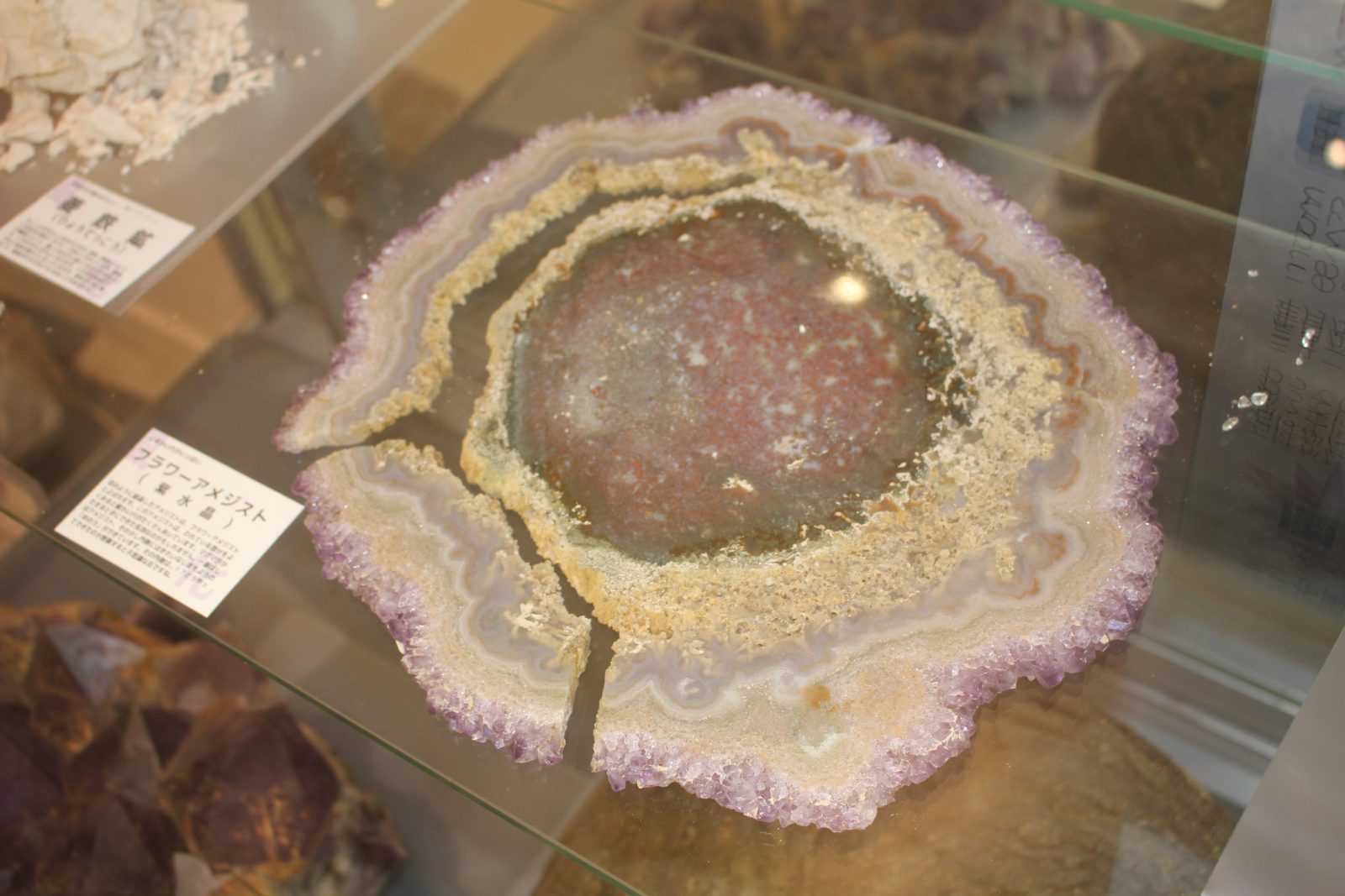 北海道産 自然石 化石風模様入り 無加工 一点もの 風化」する鉱物（ミニ展示） | 玄武洞ミュージアム